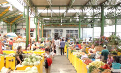 Chesnoiu: Se deschid noi pieţe unde România are capacitatea să vină cu produse de calitate la preţuri competitive