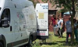 Arad: Aproximativ 100 de câini au fost ridicaţi de poliţişti şi o asociaţie din curtea unei femei