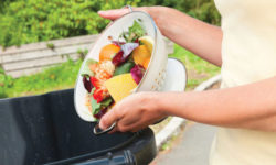 VIDEO Chesnoiu: Risipa alimentară este poate unul dintre cei mai mari adversari ai propriei persoane