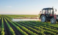 Ministrul Agriculturii: Continuăm să sprijinim fermierii români să producă alimente pentru noi toţi