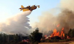 Opt sate din Spania, evacuate din cauza incendiilor de pădure