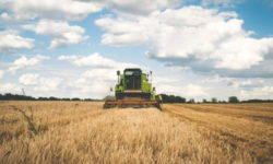 Suprafaţa cultivată în România a crescut la 8,263 milioane hectare în 2021; judeţele Dolj, Constanţa şi Galaţi, pe primele locuri