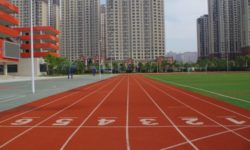 Atletism: Tokyo va găzdui Campionatele Mondiale în 2025