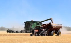 Cereale ucrainene şi îngrăşăminte ruseşti: Un acord va fi semnat vineri la Istanbul, anunţă preşedinţia turcă