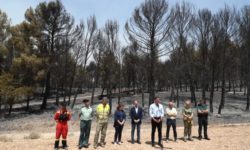 Prim-ministrul spaniol evocă ”peste 500 de decese” asociate caniculei