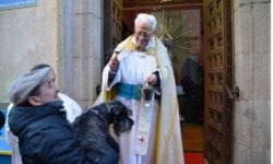 În Spania, animalele de companie primesc binecuvântarea preoţilor în cadrul unui ritual anual