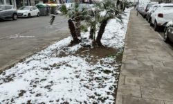 Furtuna Juliette a adus zăpadă la Barcelona şi un foarte rar cod roşu de vreme rece în Insula Mallorca