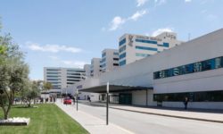 Pacientul suspectat de febră Marburg din Spania nu este infectat cu virusul ce provoacă febra hemoragică