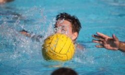 Polo: România va găzdui turneul european al Cupei Mondiale