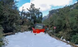 Strat de zăpadă de peste un metru în insula Mallorca; autorităţile au cerut ajutorul armatei spaniole