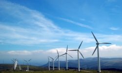 Capacităţile eoliene şi fotovoltaice au furnizat anul trecut 12% din electricitatea mondială