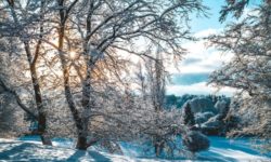 Ninsori în Spania, după o secetă îndelungată şi un val de căldură timpuriu