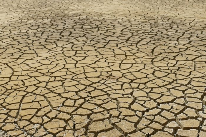 Secetă: Cu excepţia Spaniei, Europa se află într-o situaţie mai bună decât în 2022 (date satelitare)