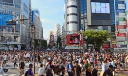 Japonia: Un raport asupra sterilizării forţate a mii de persoane, aspru criticat