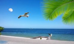 Caniculă/ Temperatura mării pe coastele spaniole, la un nivel record