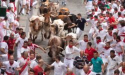 Spania: Şase răniţi uşor după prima cursă cu tauri la festivalul San Fermin