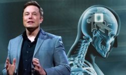 Compania Neuralink, deţinută de Elon Musk, va începe să testeze pe oameni un implant cerebral dedicat pacienţilor paralizaţi