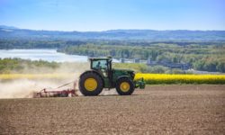 Ministerul Agriculturii a virat 280,588 milioane de lei pentru despăgubirile pe secetă la culturile de primăvară din 2022