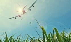 CCIR propune înfiinţarea companiei aviatice Liniile Aeriene Române