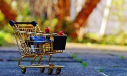 Coşul minim de consum pentru un trai decent: 9.978 lei/lună pentru o familie de doi adulţi şi doi copii