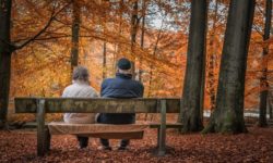 Ministrul Muncii, de Ziua Internaţională a Persoanelor Vârstnice: Vreau o lege a pensiilor care să aducă respect şi echitate