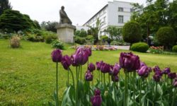 Cluj: Grădina Botanică ‘Alexandru Borza’ a UBB va avea un spaţiu modernizat dedicat persoanelor cu deficienţe de vedere