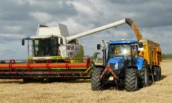 Eurostat: Franţa, Germania, Polonia, Spania şi România, cei mai mari producători de cereale din UE